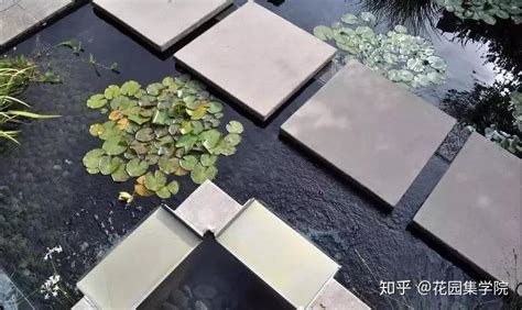 庭院水景|设计一个水景，让庭院瞬间充满灵动的美